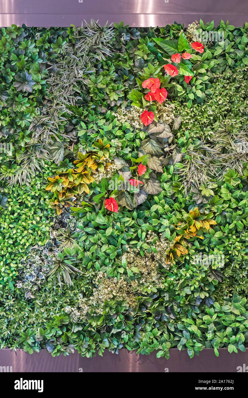 Vertical Wall Green Garden Flowers and Plants Stock Photo
