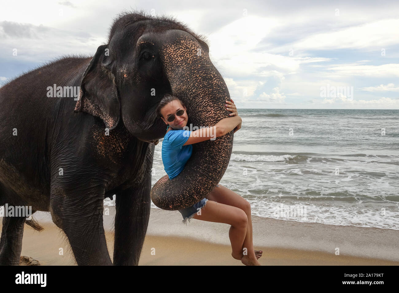 Portrait of a young girl with an elephant on the background of a tropical  ocean beach. Elephant hugs a young girl with his trunk Stock Photo - Alamy