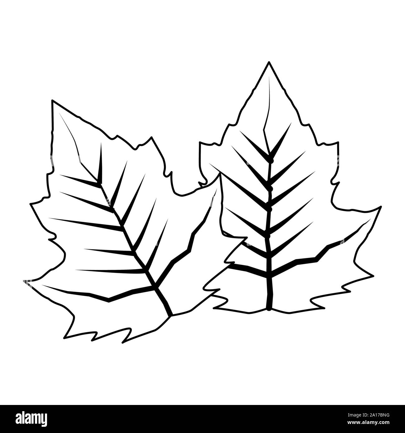 autumn leaf plant seasonal icon Stock Vector Image & Art - Alamy