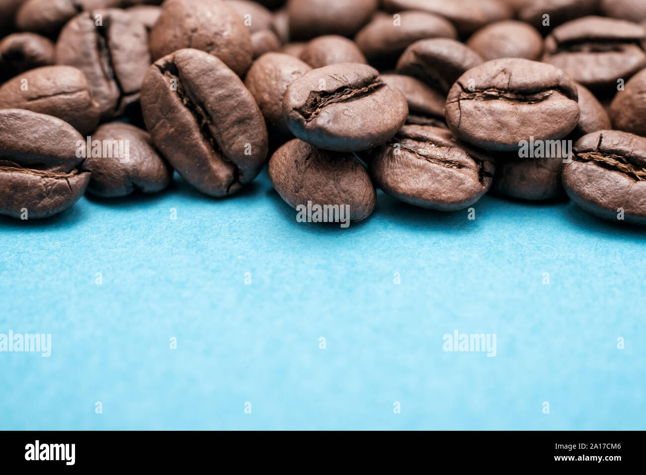 Roasted brown coffee beans on colored blue background with copyspace Stock Photo