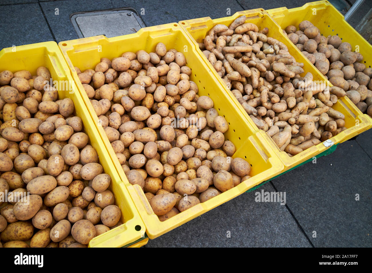 varieties of potato on sale at chicago fresh food farmers market chicago illinois united states of america Stock Photo