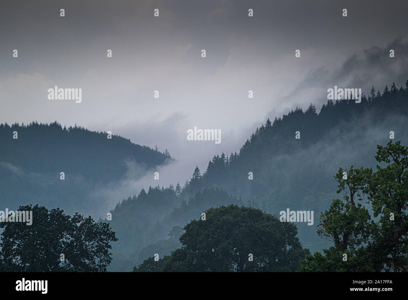 Gwydir Forest / Gwydyr Forest, a 72.5 square km ancient woodland that encirles the town of Bettws y Coed, Clwyd, Snowdonia north wales.  In 1937 Gwydir was designated a National Forest Park, and since 1993 the heartland of the forest has been accorded the special status of Forest Park Stock Photo