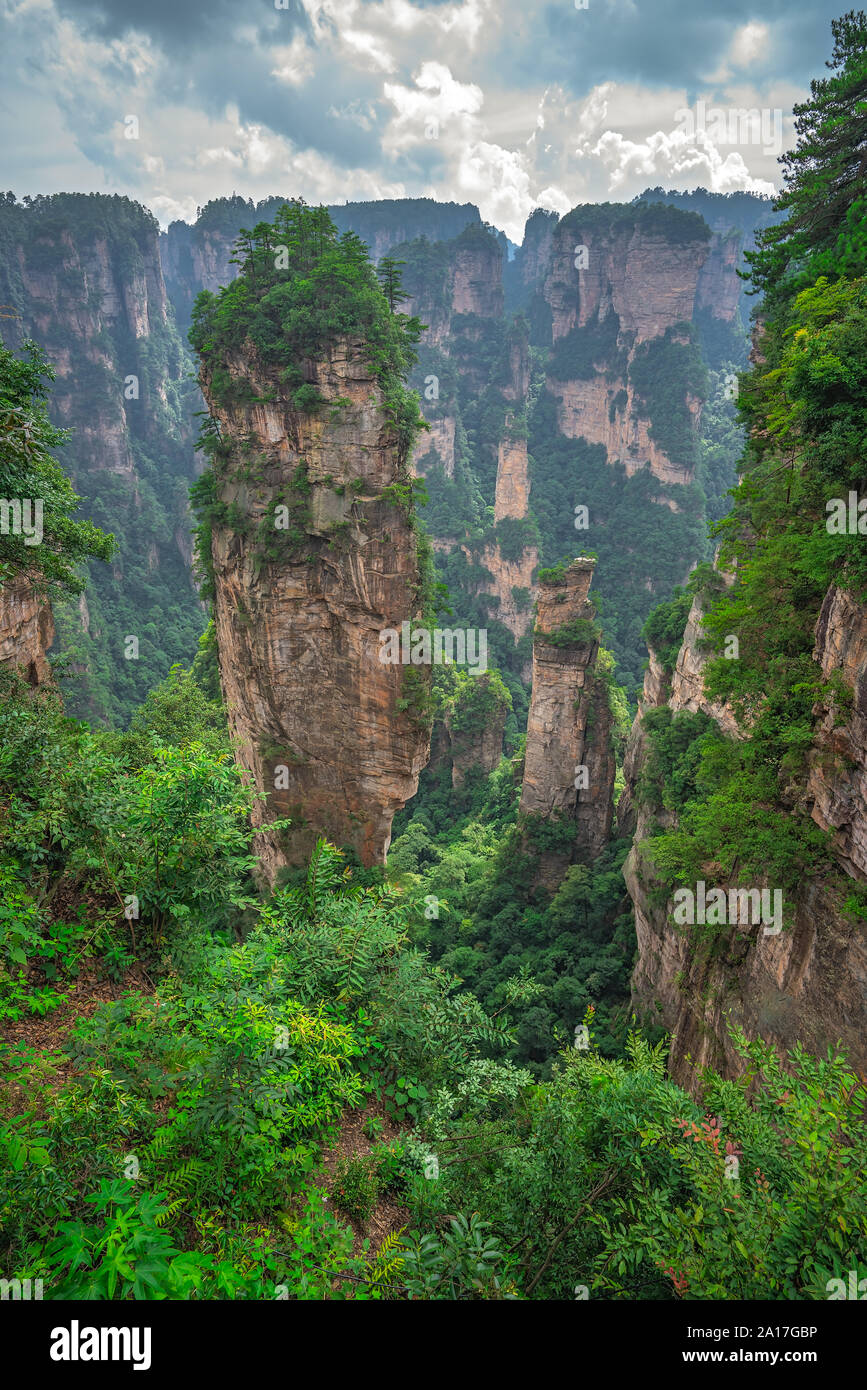 Heaven Pillar Hallelujah Mountain in Tianzi mountain range, Avatar ...