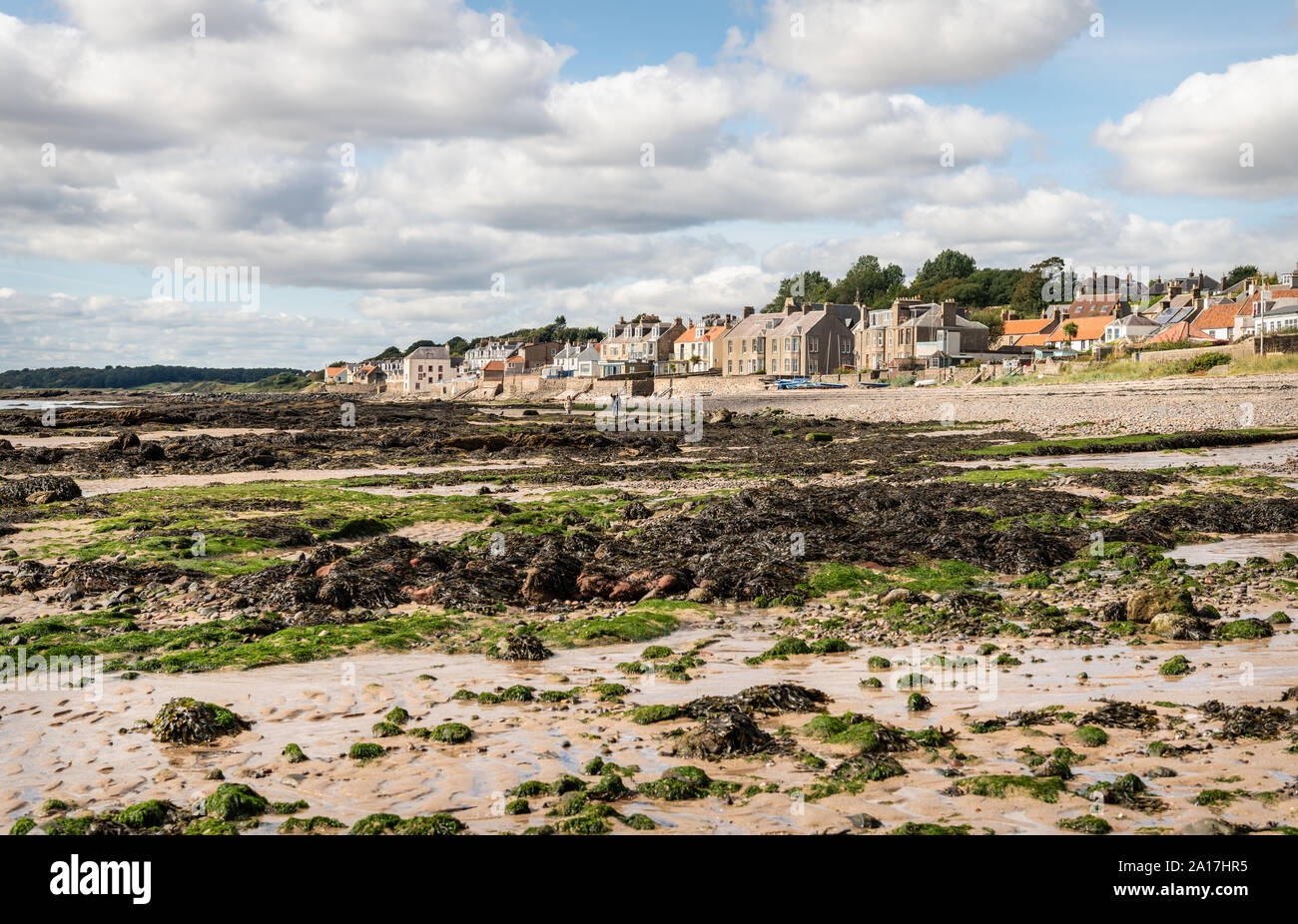 Rocky Beach and Seafront , Lower Largo, Fife, Scotland Stock Photo Alamy