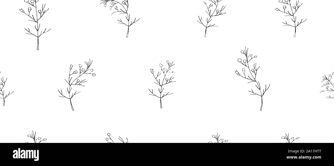 Vector seamless botanical pattern with hand drawn herbs isolated on ...