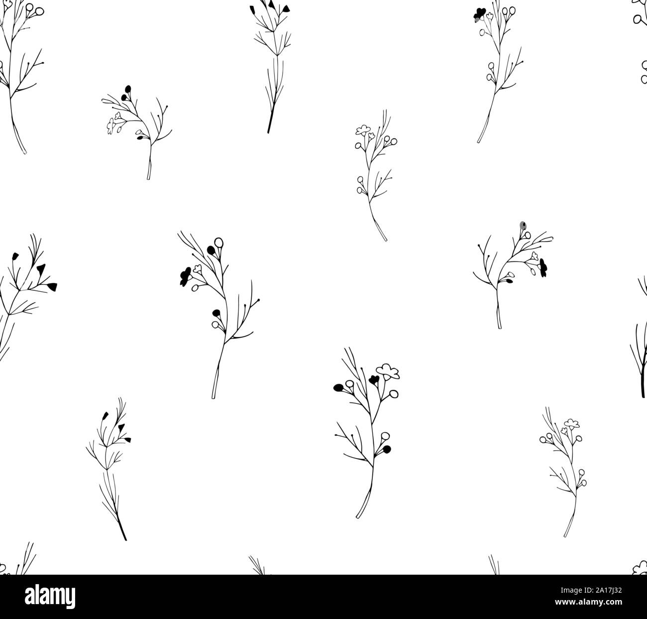 Vector seamless botanical pattern with hand drawn herbs isolated on ...