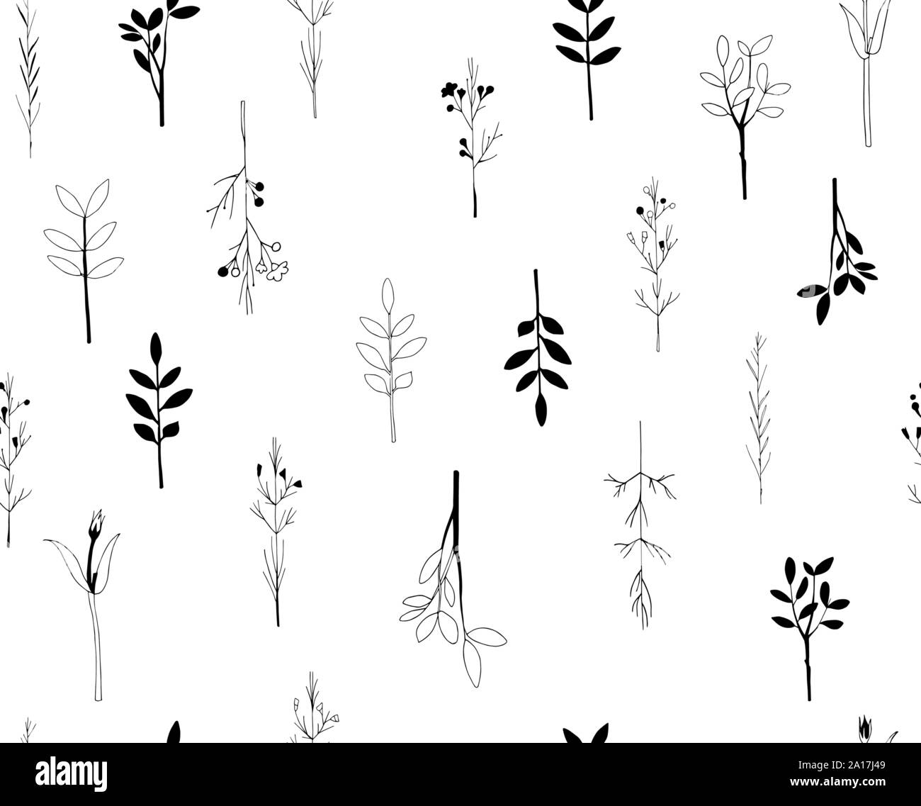Vector seamless botanical pattern with hand drawn herbs isolated on ...
