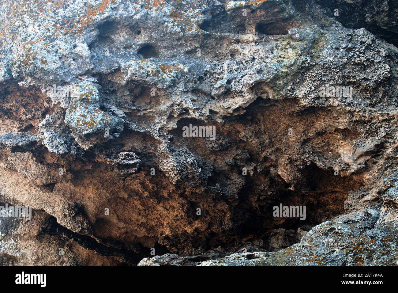 Geology. Bryozoan limestone (malancolie limestones) of the Kerch Peninsula (Crimea, Black sea) represent sedimentary Meotic sea of 3 million years ago Stock Photo