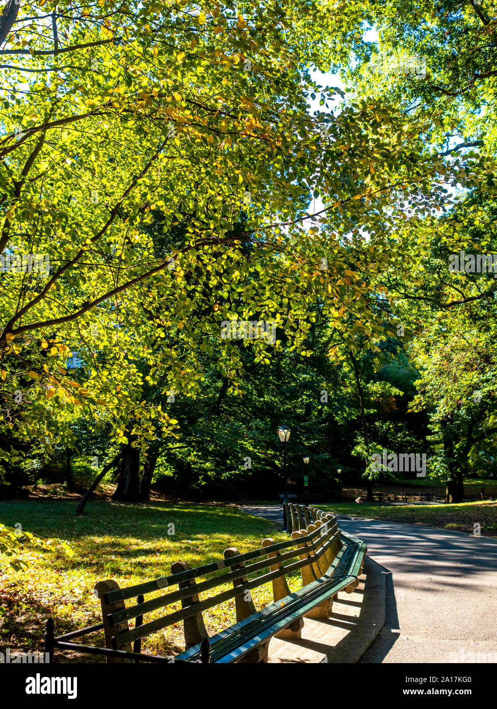 Central park benches, new york city hi-res stock photography and images ...