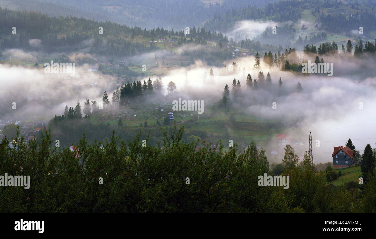 Top view of misty pine forest at sunrise on carpathian mountains Stock Photo