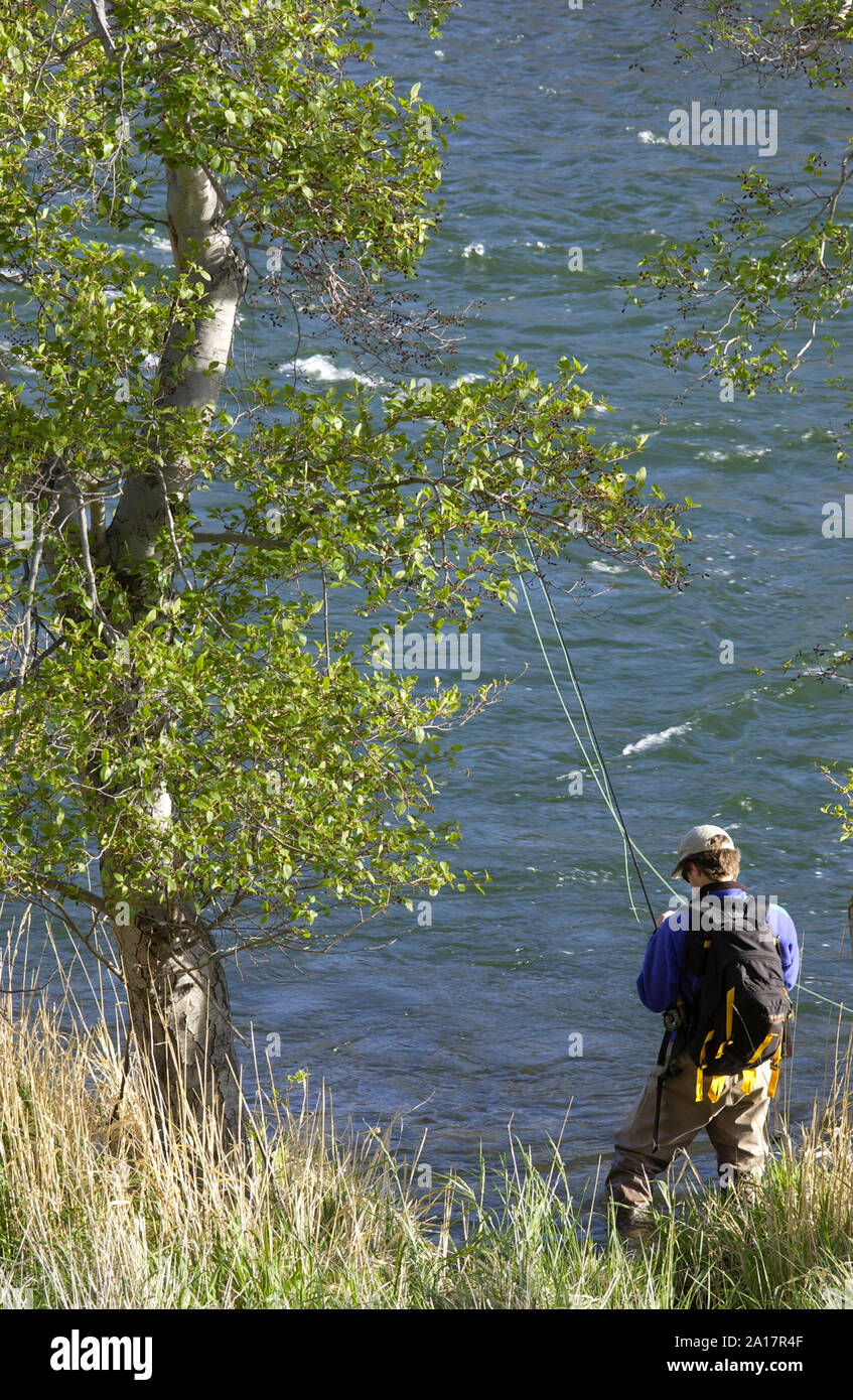 Man fly fishing on Deschutes River, Oregon USA Stock Photo Alamy
