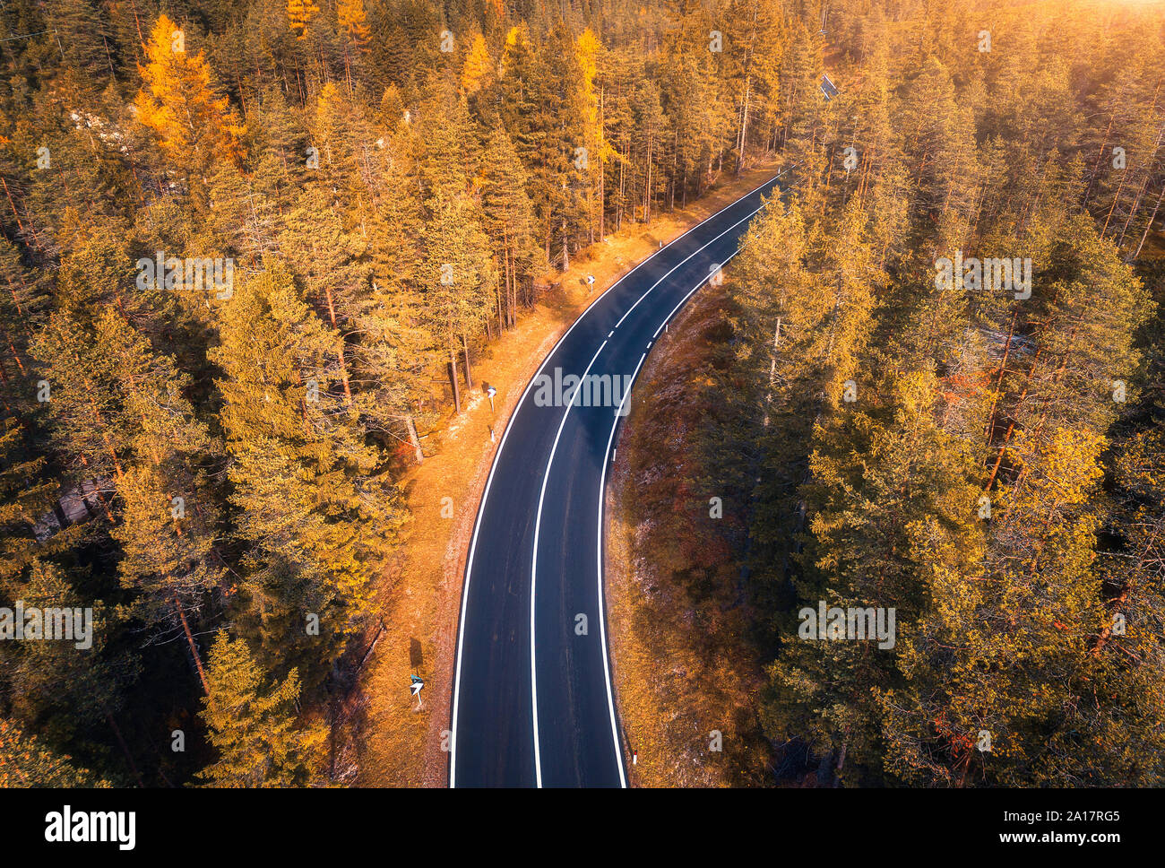 Aerial view of the road in beautiful autumn forest at sunset Stock ...