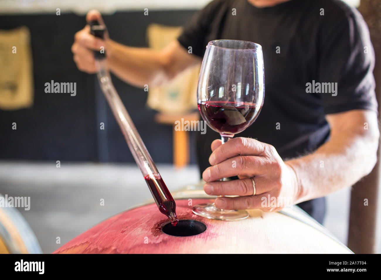 sommelier extracts wine from a barrel using a pipette Stock Photo