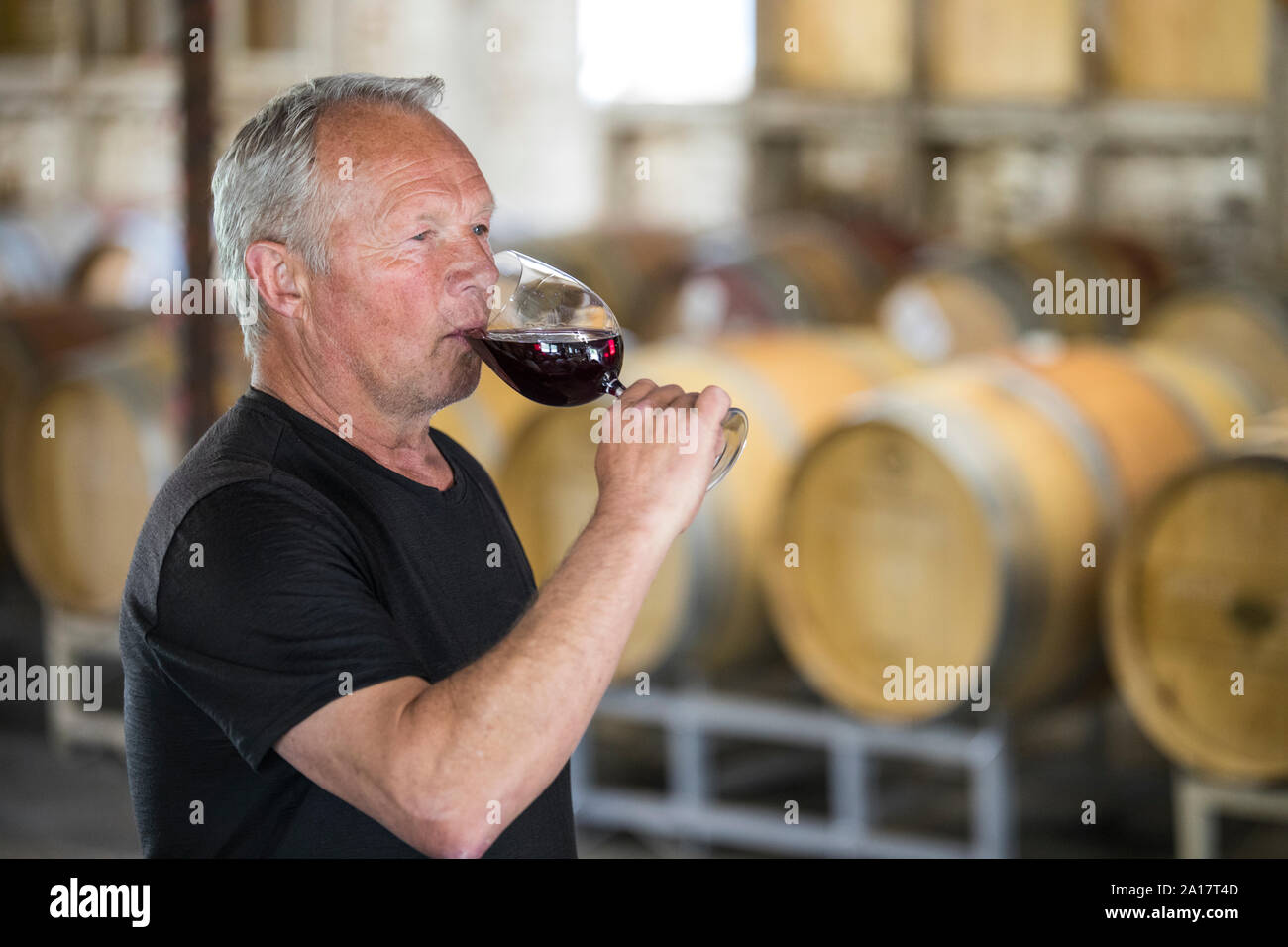 Winemaker (sommelier) sampling his product in a wine storehouse. Stock Photo