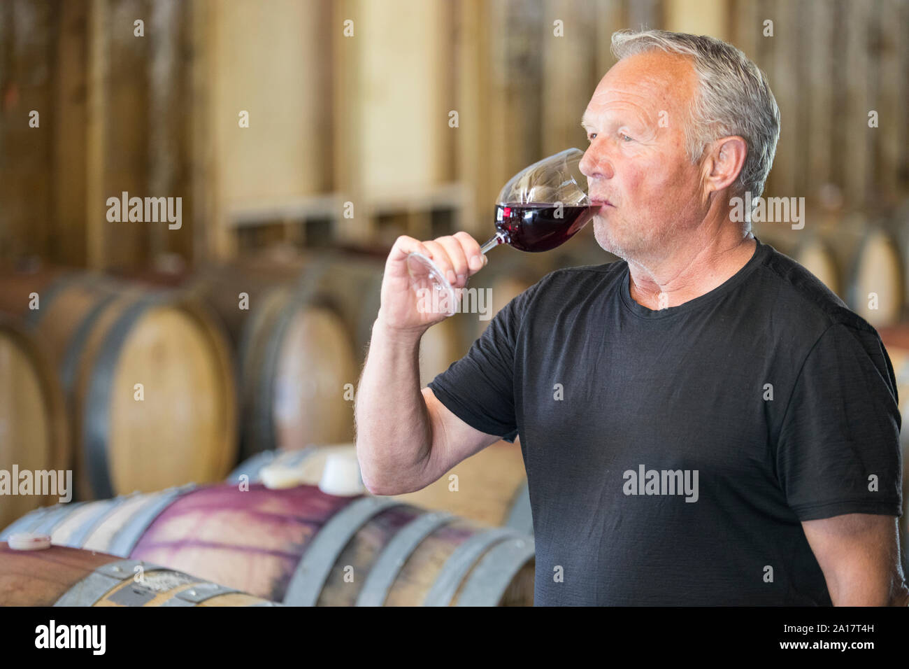 Man Wine tasting in storehouse at a local vineyard. Stock Photo