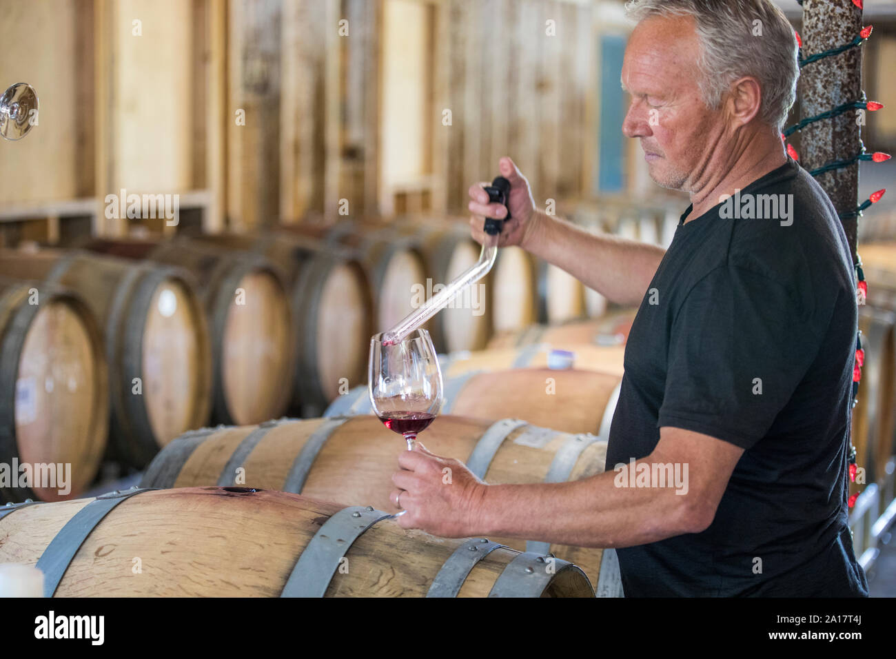 winemaker uses pipette to pour sample glass of wine to taste test Stock Photo