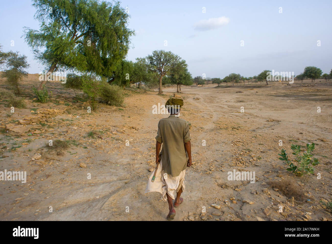 Rajasthani man walking in the desertic field of northern India Stock Photo