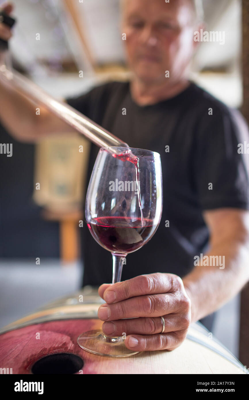 sommelier pours wine into a glass from a barrel using a pipette Stock Photo