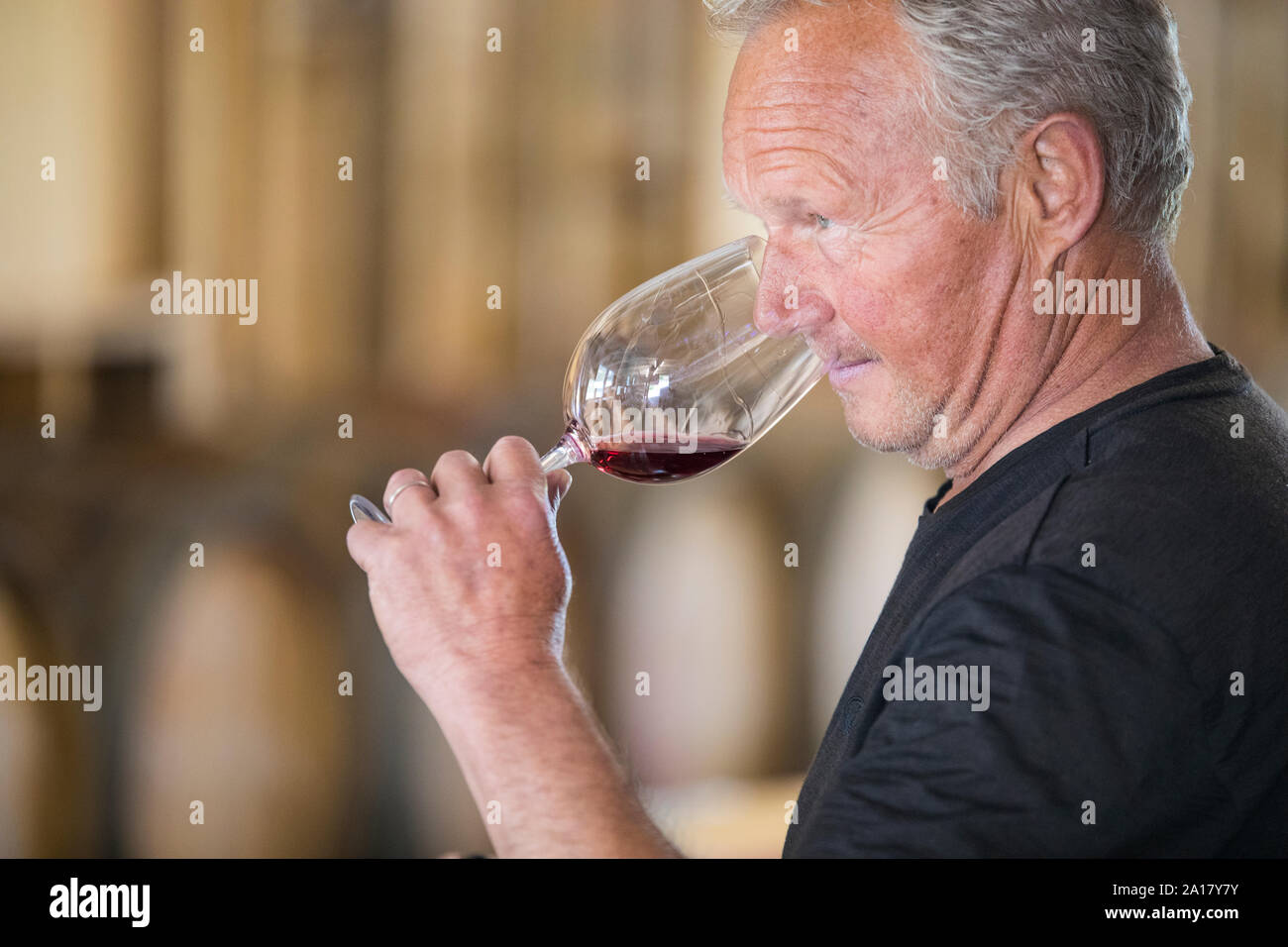 Senior Winemaker drinking wine Stock Photo