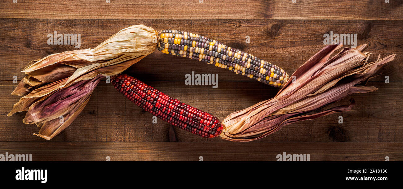 Two dried multicolored corn cobs on a textured, dark wood background Stock Photo