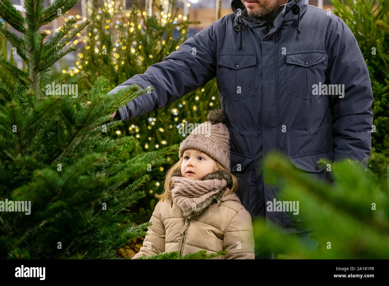 Father and daughter choose a Christmas tree in a shop Stock Photo