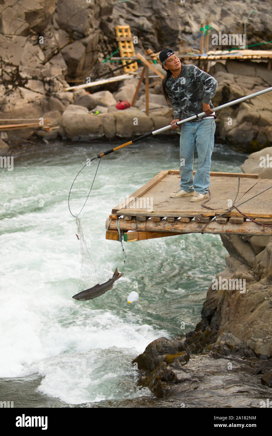 Tribal fishermen use dip nets to fish from platforms at Lyle Falls, WA, USA  Stock Photo - Alamy