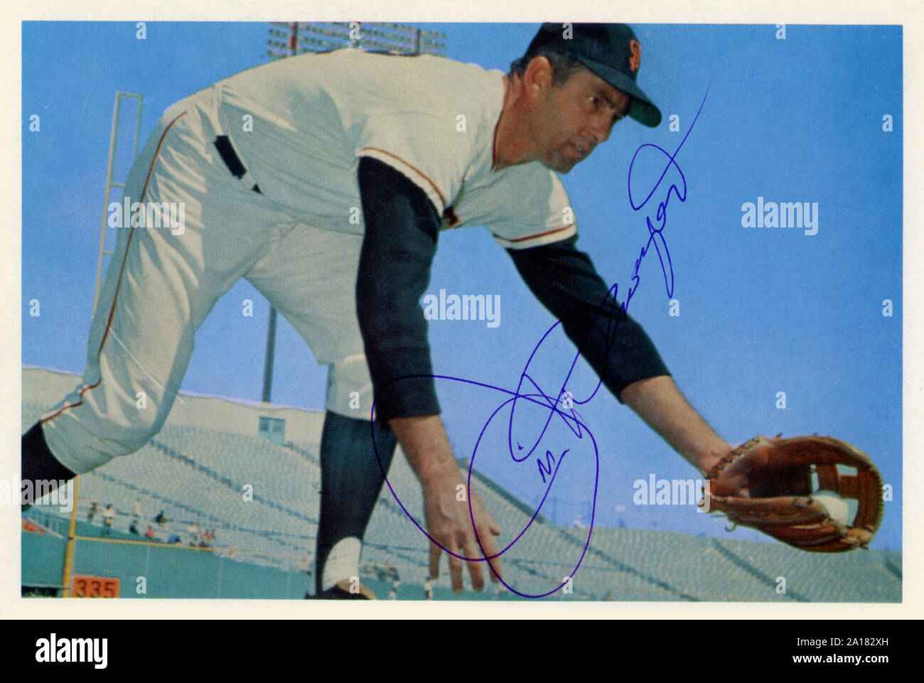 Vintage 1960s era color photo of San Francisco Giants player Jim Davenport fielding a ball. Stock Photo