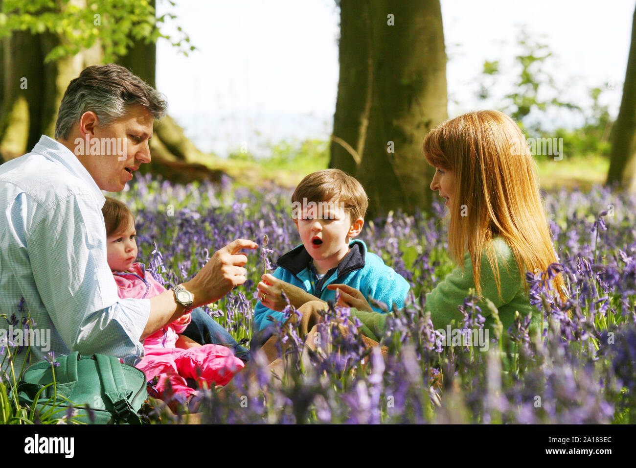 Family sat in bluebell woods Stock Photo