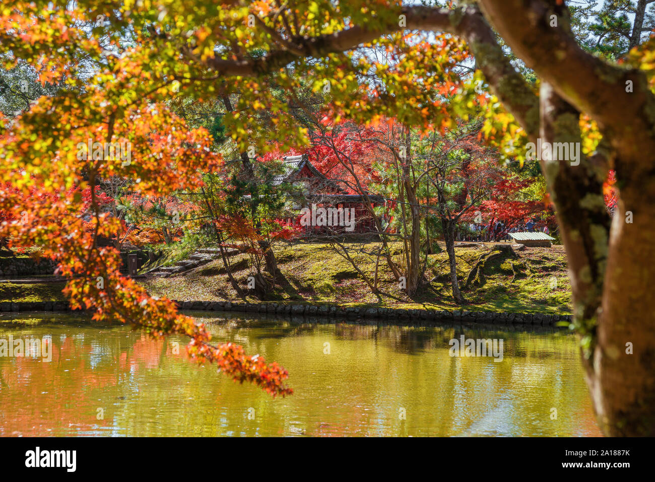 Autumn view of Kagami Ike (Mirror Pond) with Itsukushima Shrine among maple red leaves in Nara Park Stock Photo
