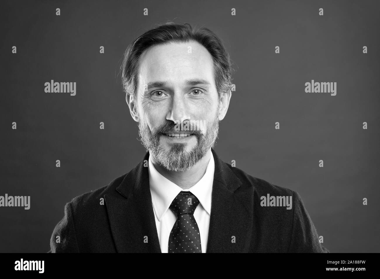 Businessman Hairstyle Black And White Stock Photos Images Alamy