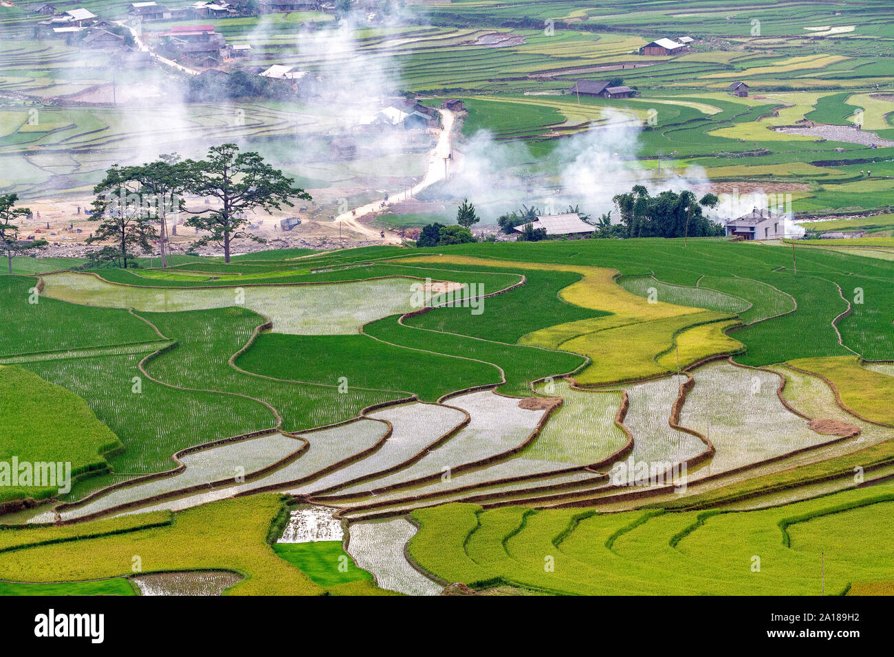 Rice fields in Mu Cang Chai area, Yen Bai province, in northwestern ...