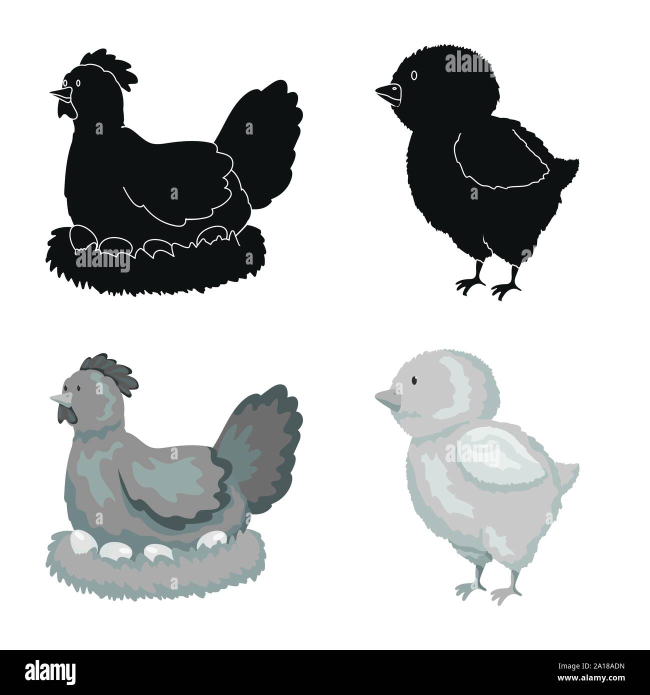 Vector design of breeding and kitchen sign. Set of breeding and organic ...