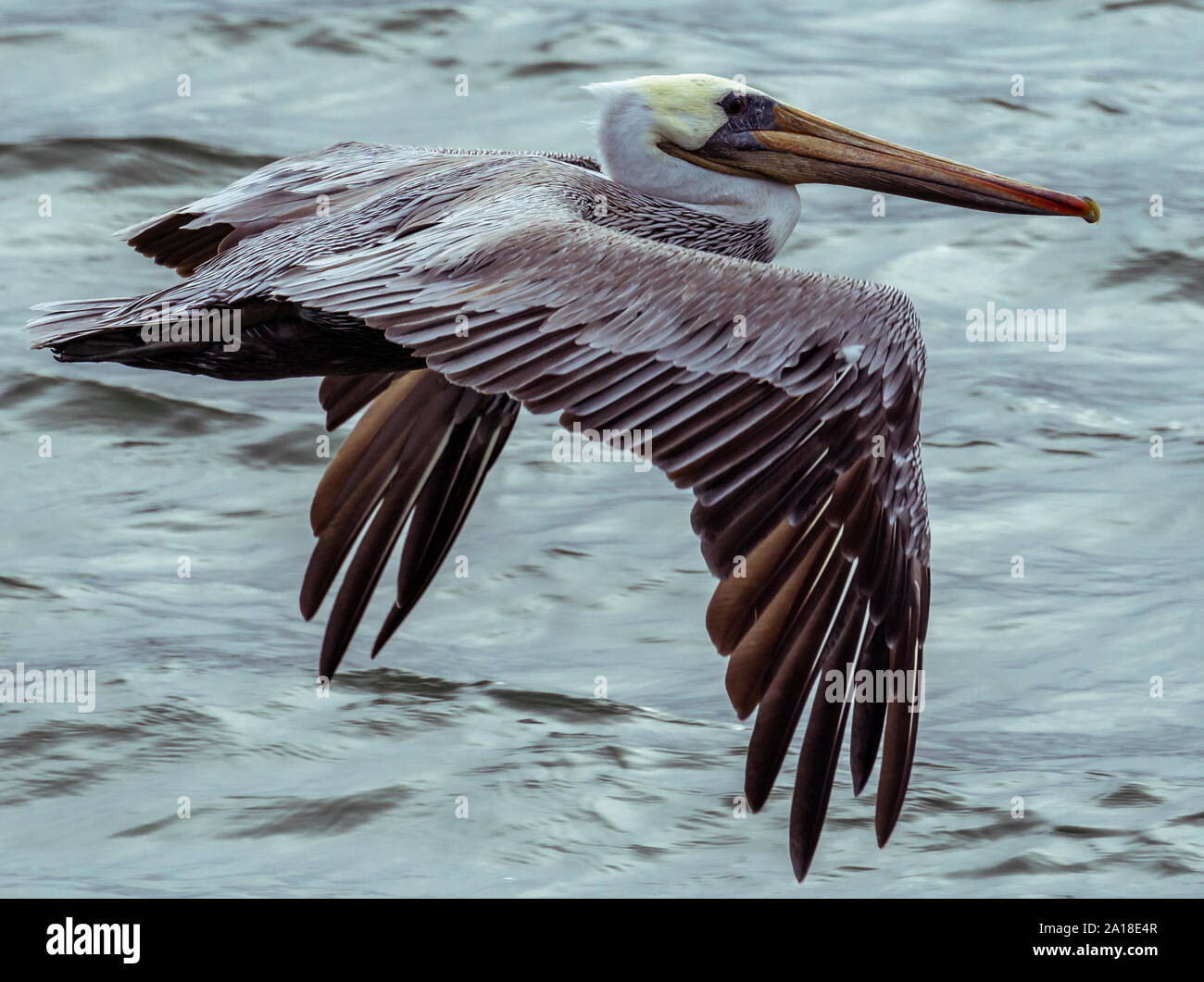 Nurturing High Resolution Stock Photography And Images Alamy