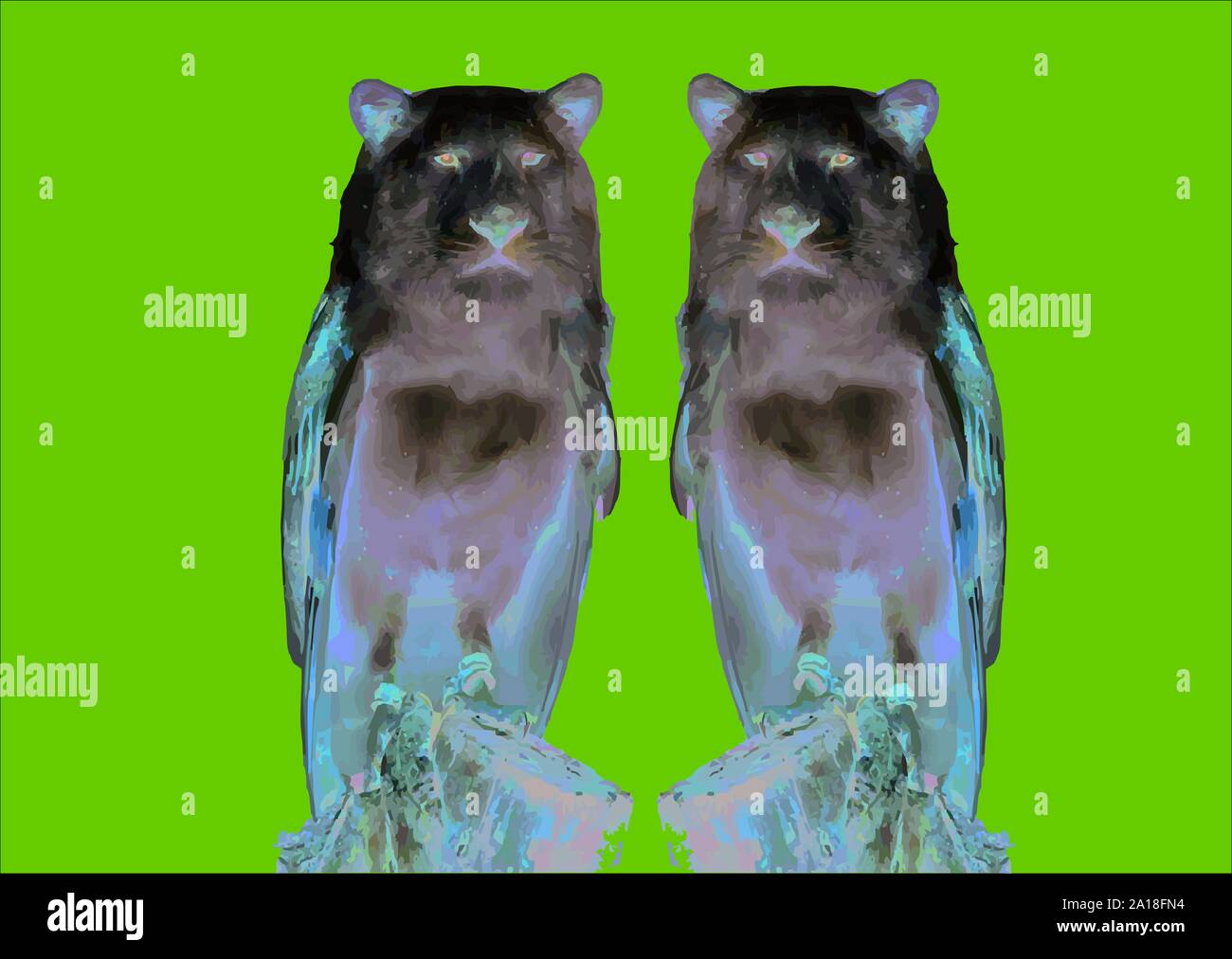 Owl With Dog Face Strange Animals Stock Photo Alamy