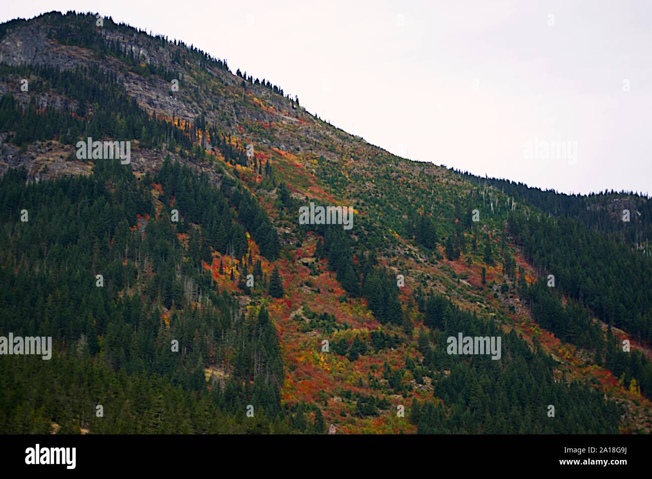 Fire On The Mountain Stock Photo - Alamy