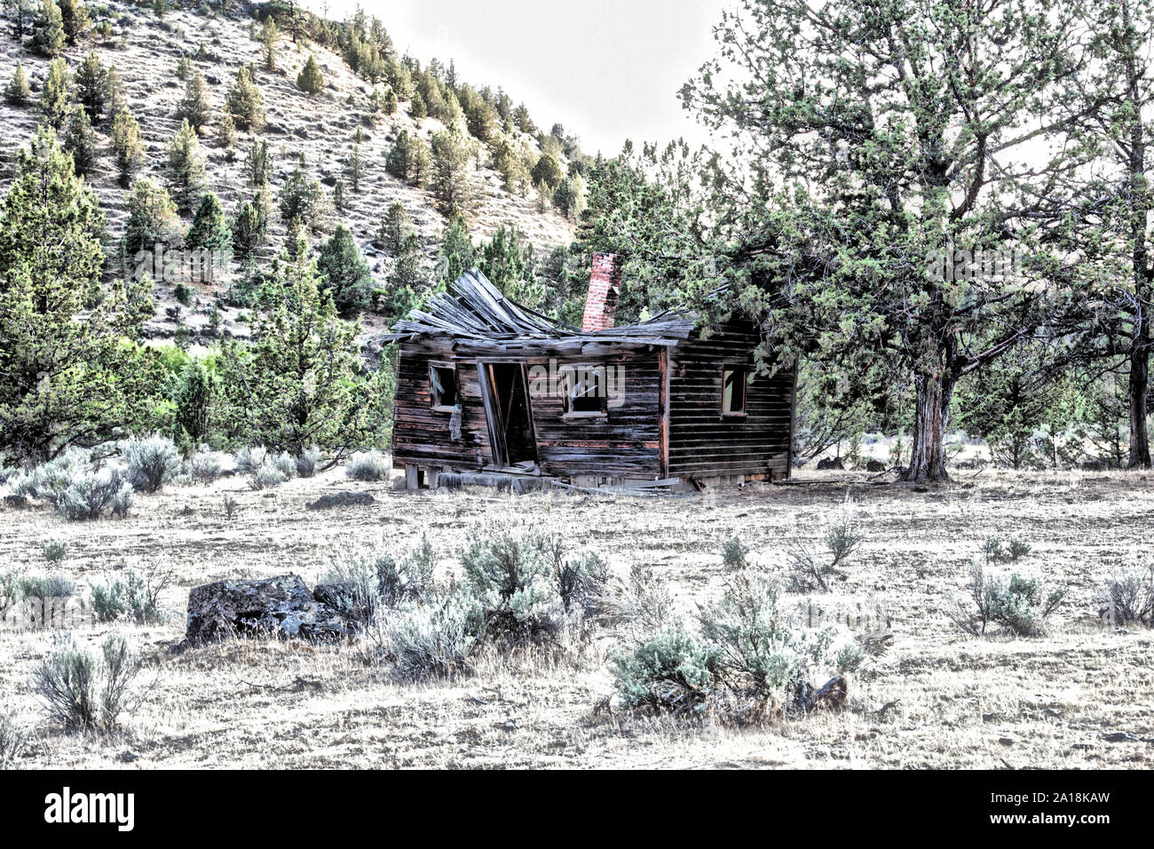 Warm springs indian reservation hires stock photography and images Alamy