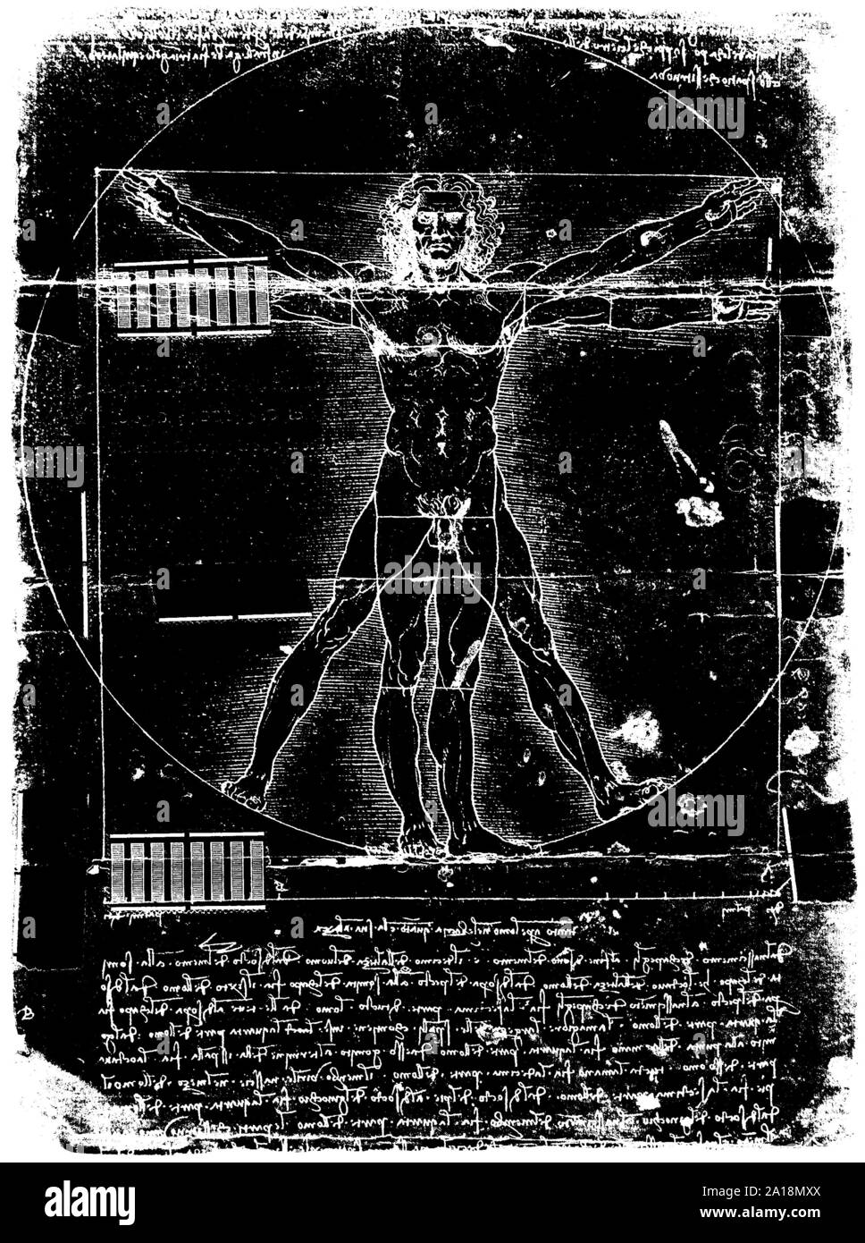 Photo of the Vitruvian Man by Leonardo Da Vinci from 1492 on textured background. Stock Photo