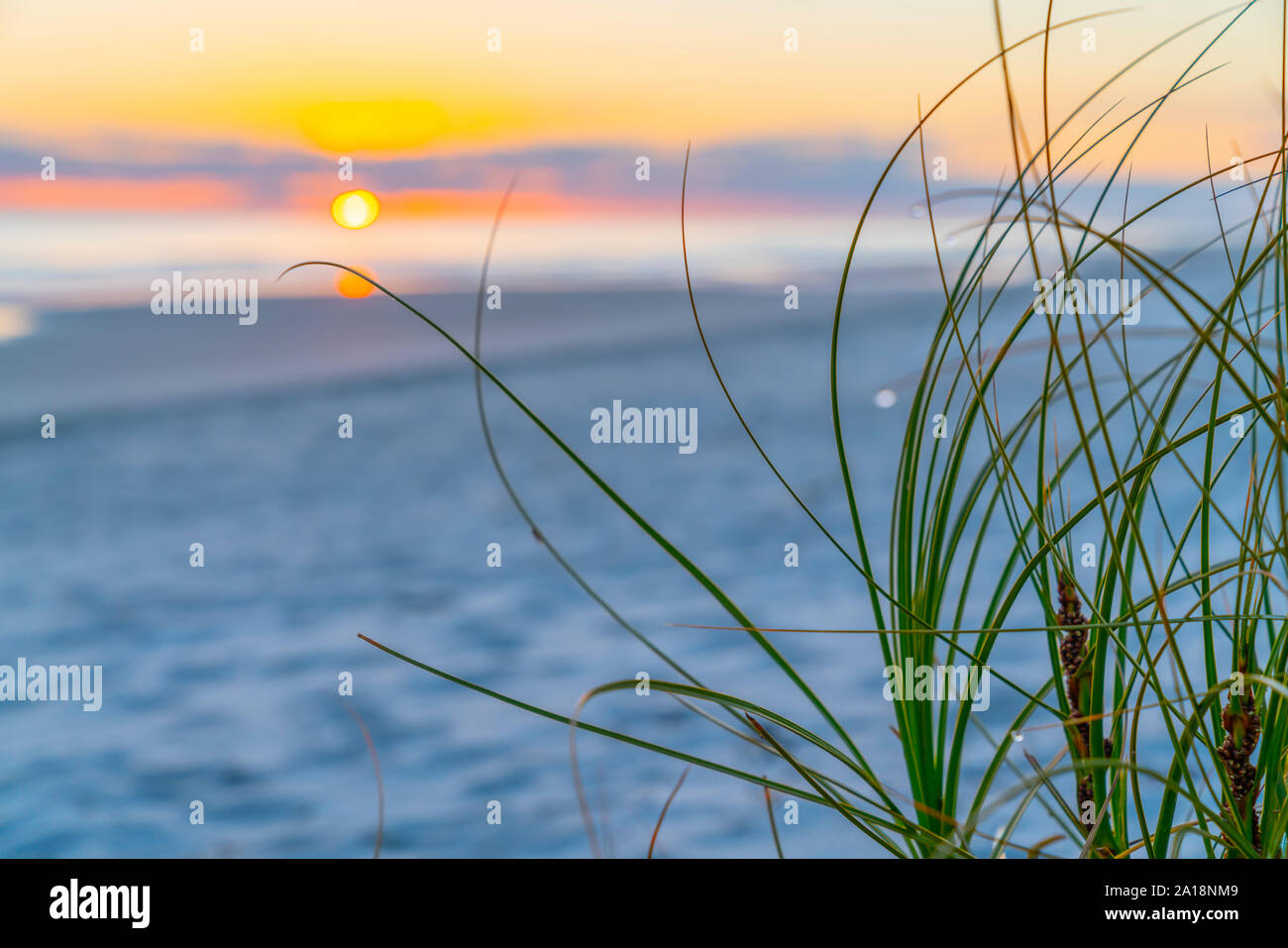 Morning light at sunrise at beach at Papamoa with vegetation and defosused sun on horizon for use as background image. Stock Photo
