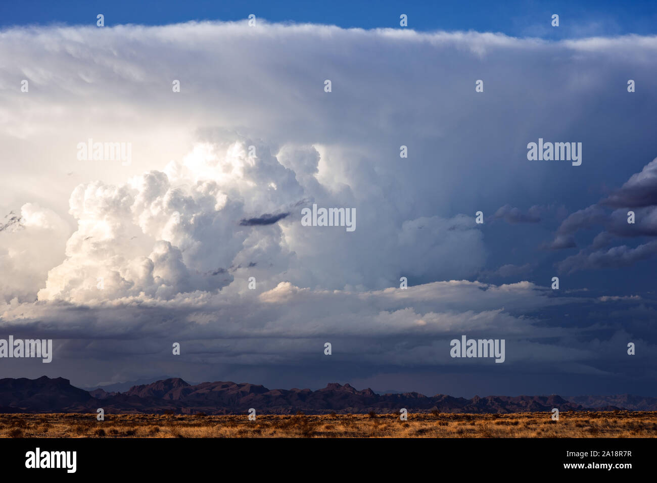 Cumulonimbus cloud in the sky from a thunderstorm near Lake Havasu City, Arizona, USA Stock Photo