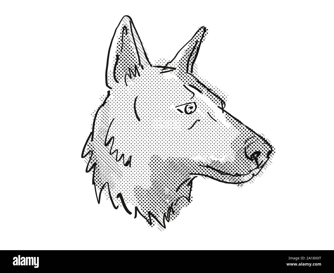 Retro cartoon style drawing of head of a German Shepherd, a domestic dog or canine breed on isolated white background done in black and white. Stock Photo