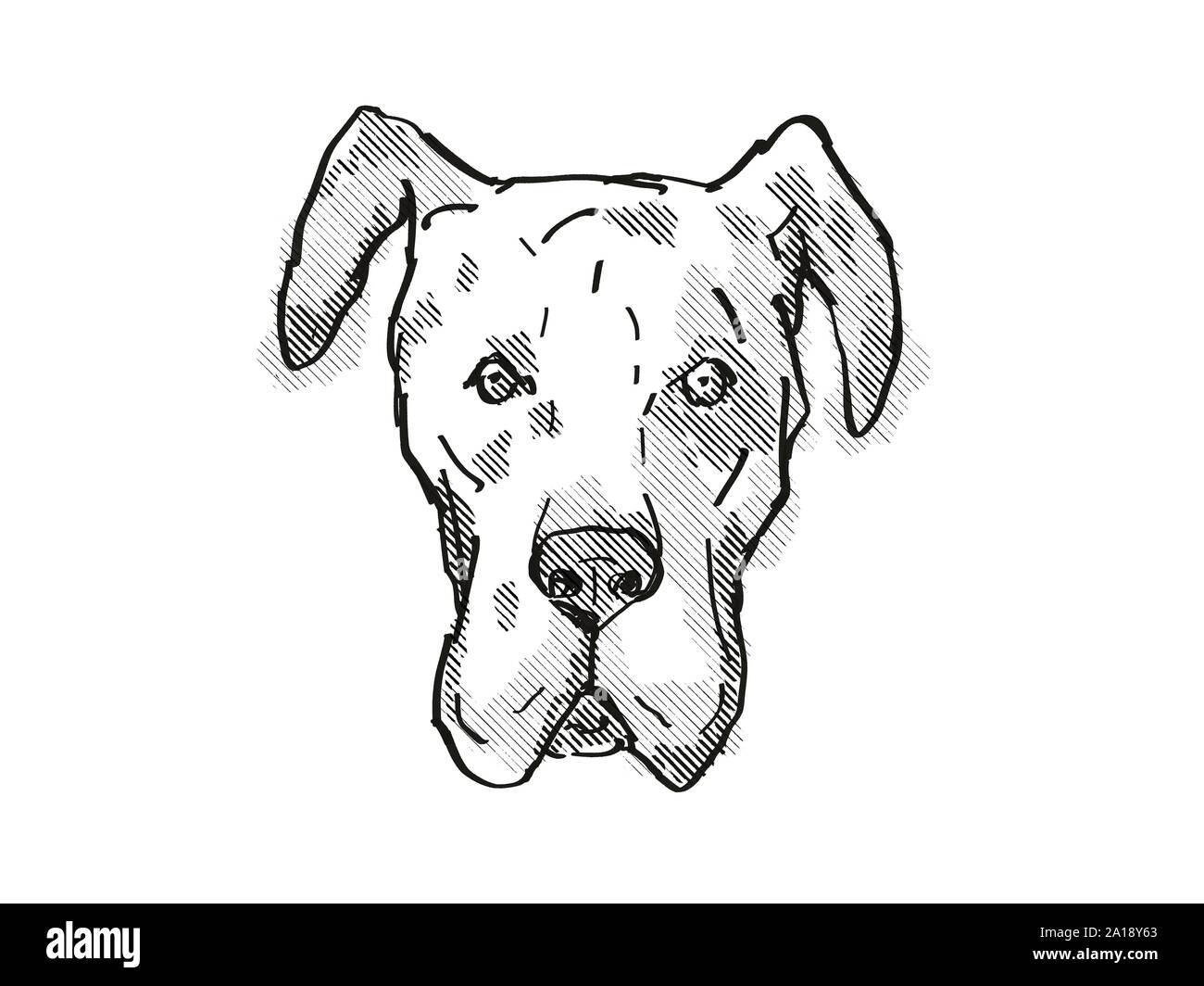 Cartoon illustration great dane dog hi-res stock photography and images -  Alamy
