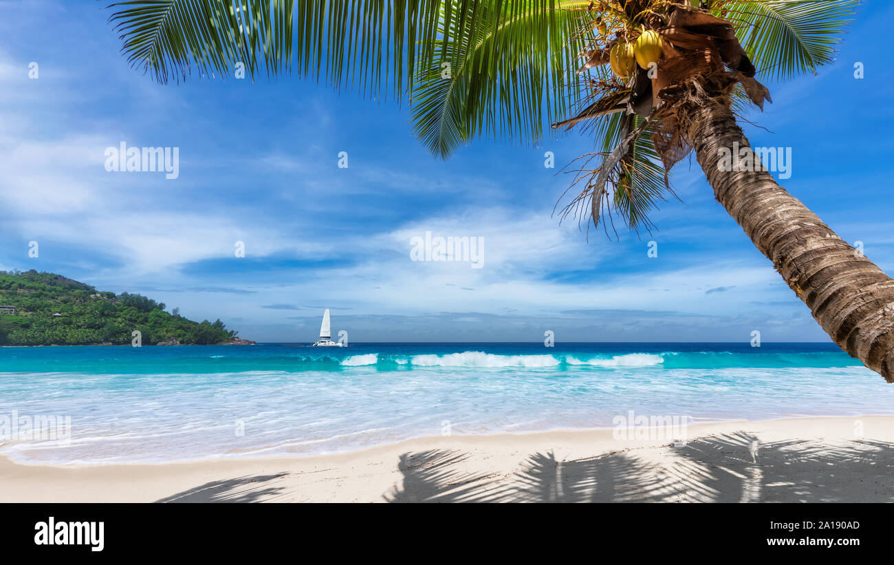 Tropical sea sail hi-res stock photography and images - Alamy