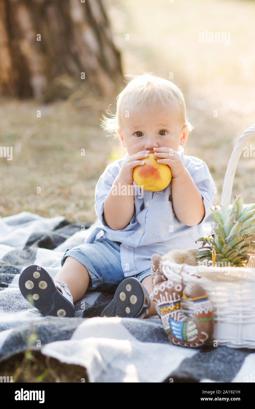 Little cute boy sits on nature on a blanket and eats juicy fruits. Time to harvest. Stock Photo