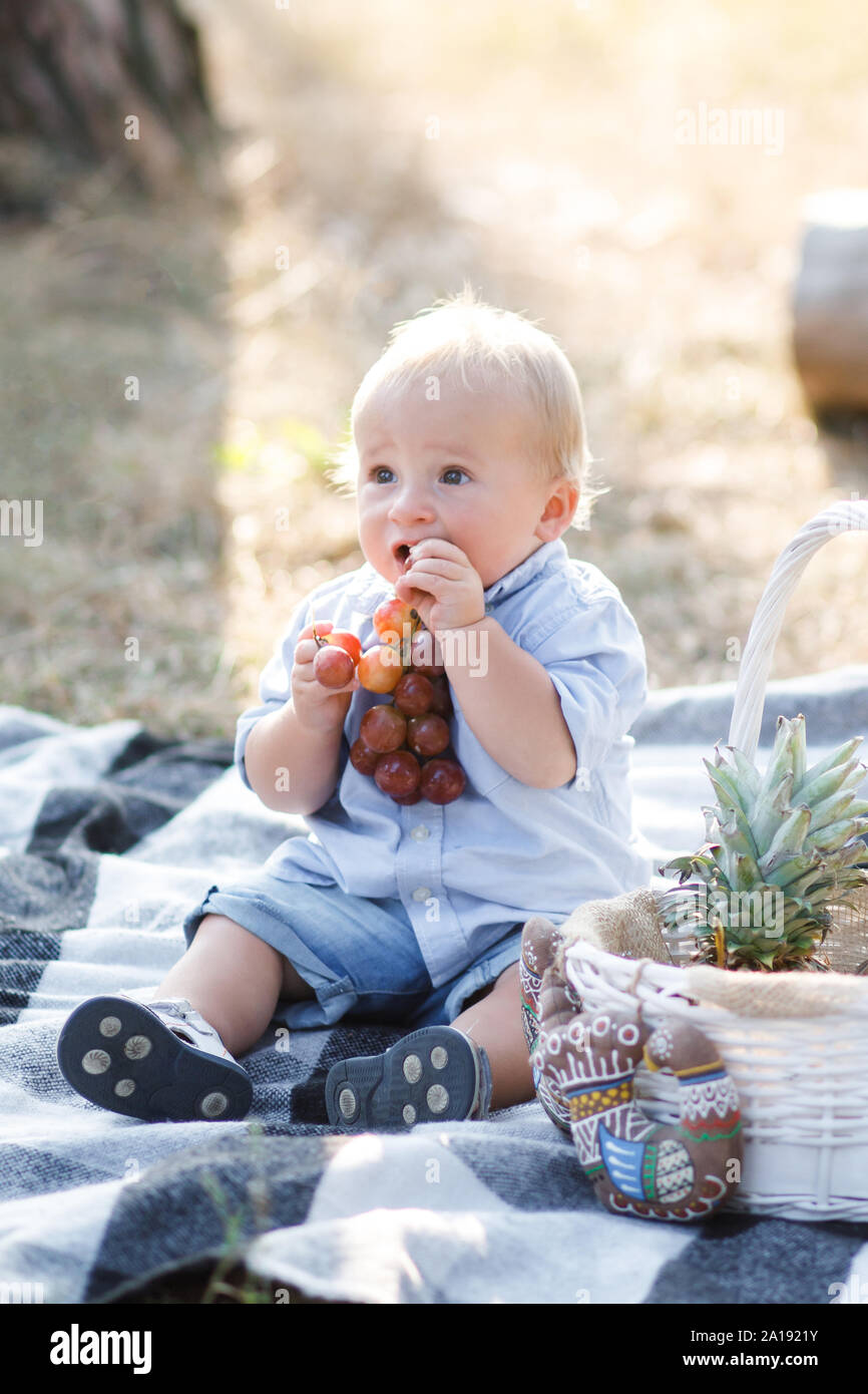 Little cute boy sits on nature on a blanket and eats juicy fruits. Time to harvest. Stock Photo