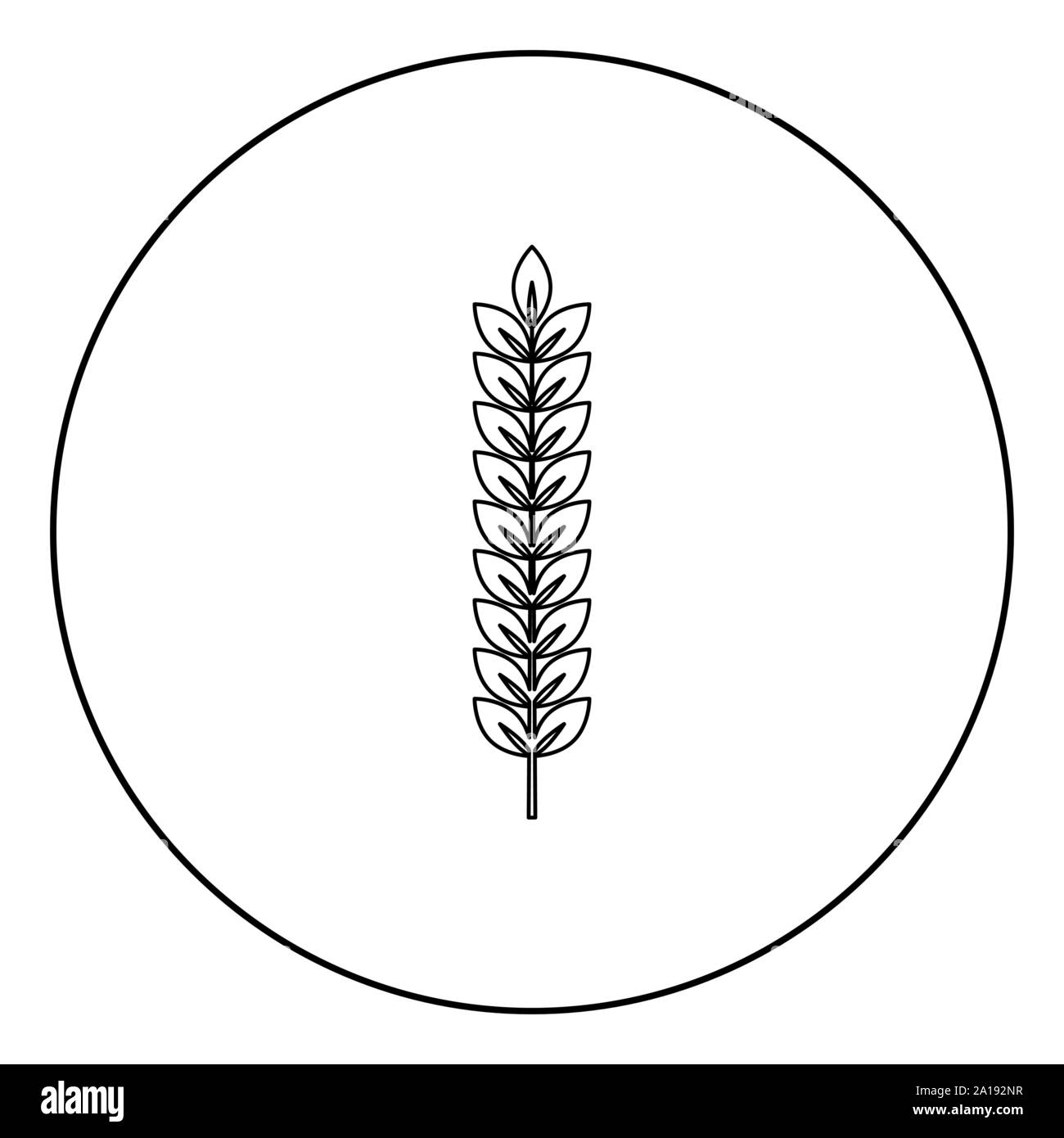 Simple Wheat Plant Drawing