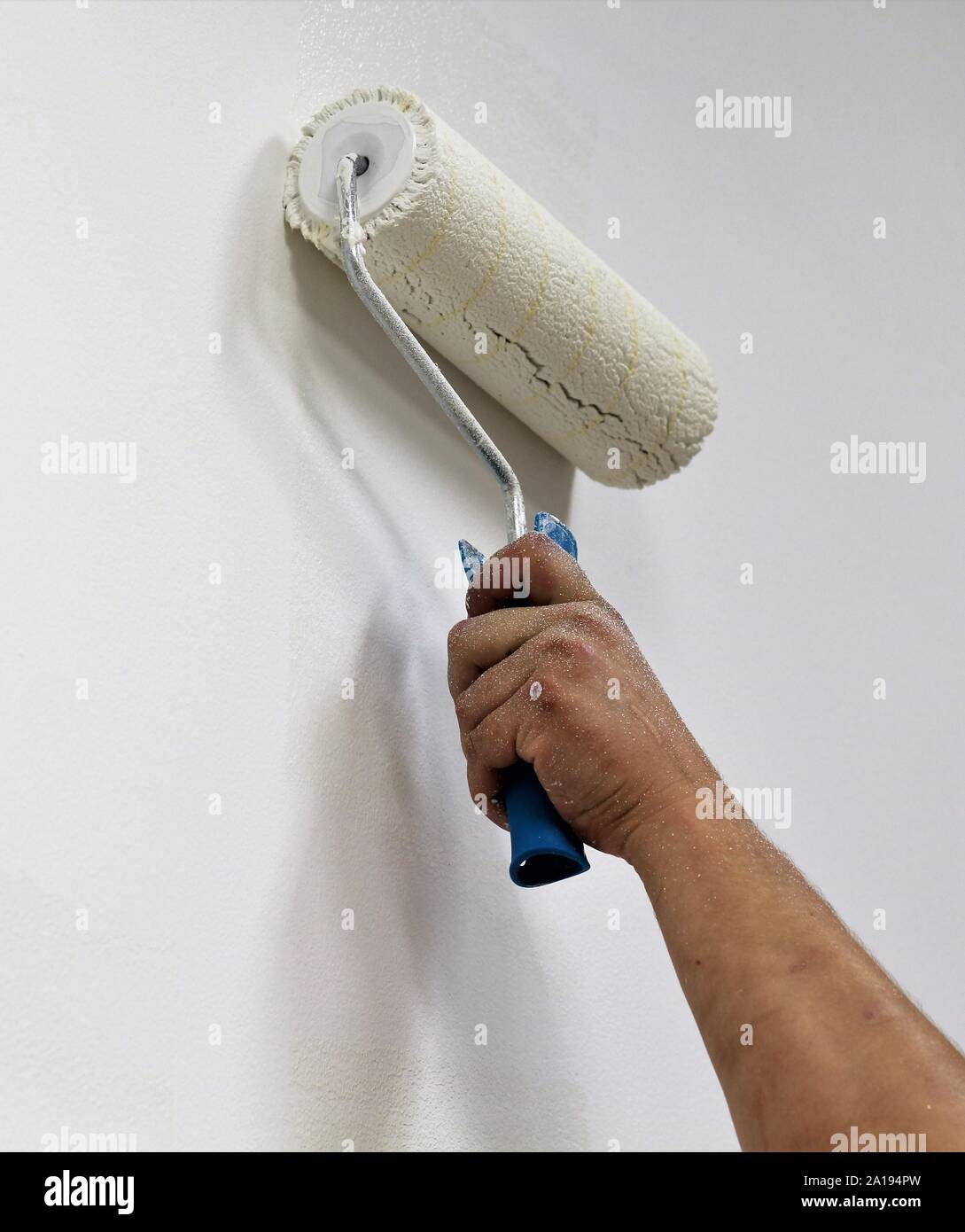 Brush Brush