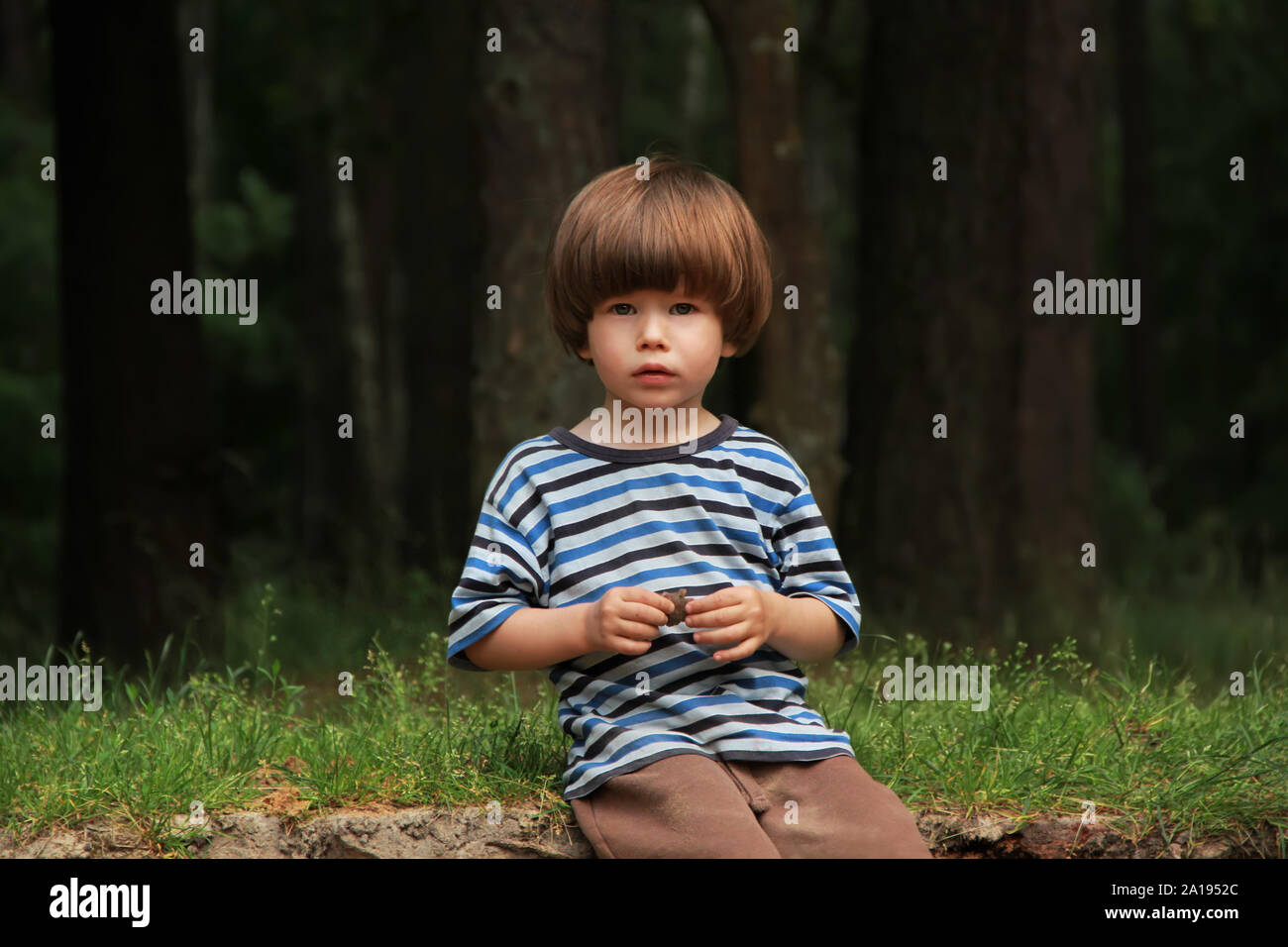 Caucasian boy in striped t shirt sitting in the summer wood and playing with a cone. Stock Photo