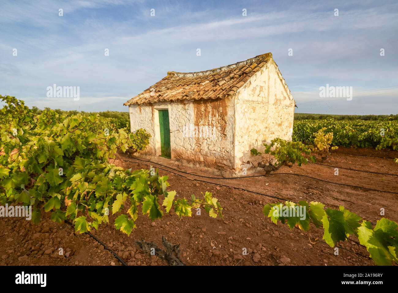 Country house and vineyard in Mollina, Malaga. Wines of Mollina Stock Photo