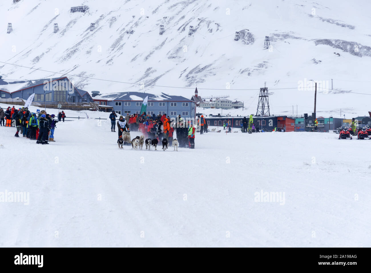 Trappers Trail, Hundeschlitten-Gespann beim Start. The northern most dog sled race of the world. Longyearbyen, Svalbard, Norway Stock Photo