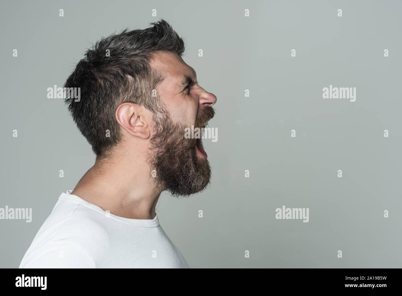 man with long beard on angry face on grey background, copy space Stock ...